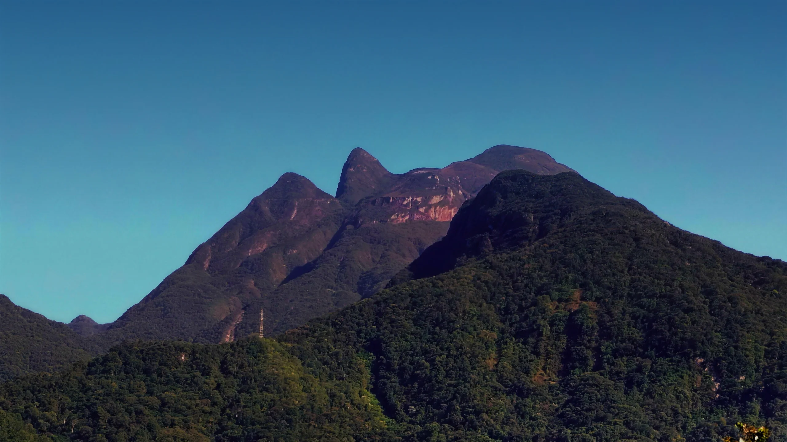 A serra do Mar vista da propriedade, em Antonina, sob céu limpo